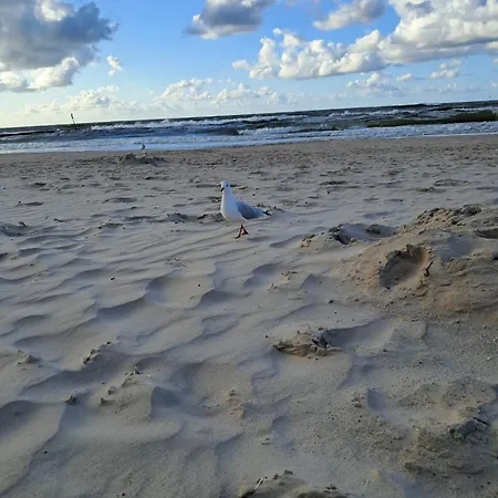 Emerald Sea 250 M Do Morza 아파트 *