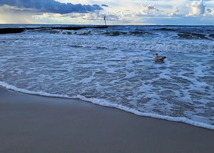 Emerald Sea 250 M Do Morza アパート