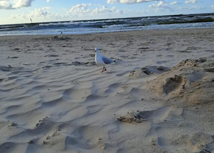 Emerald Sea 250 M Do Morza アパート *